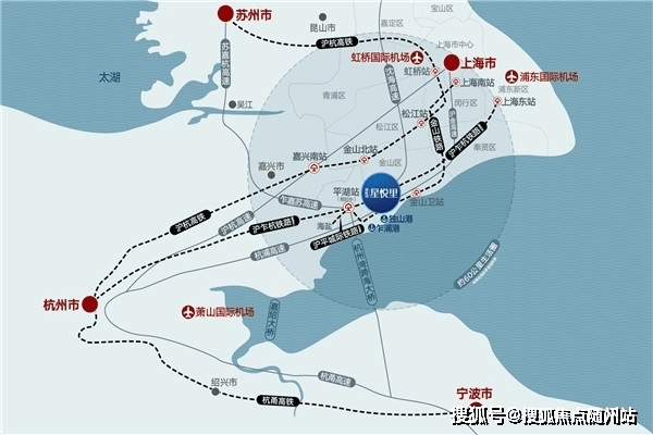 最新青川獵犬出售價及其市場分析