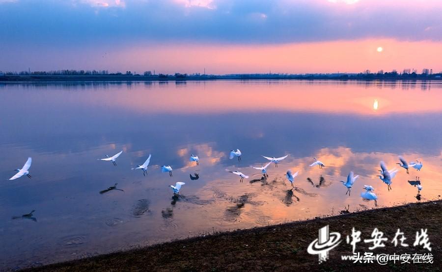 管灣濕地公園最新動態(tài)，生態(tài)建設的蓬勃發(fā)展