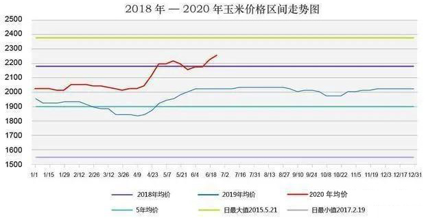 玉米棒價(jià)格最新行情分析